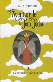 Cumpara ieftin Aventurile lui Tom Tudor (Vol.III) Păstorul norilor - Hardcover - M.B. Tudor - București