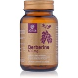 Aronia Charlotteburg Berberine Forte capsule pentru menținerea nivelului normal de zahăr &icirc;n s&acirc;nge 60 caps.