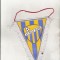 bnk div Fanion - FC Baia Mare