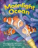 Moonlight Ocean foto