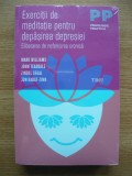 EXERCITII DE MEDITATIE PENTRU DEPASIREA DEPRESIEI - 2013, Polirom