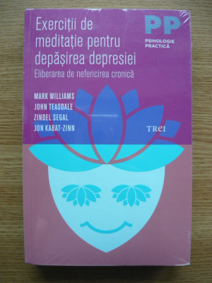 EXERCITII DE MEDITATIE PENTRU DEPASIREA DEPRESIEI - 2013 foto