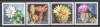 Flora - Flori de cactus, 2017, LP 2160, MNH, Nestampilat