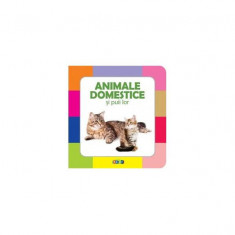 Animale domestice și puii lor - Hardcover - *** - Prut