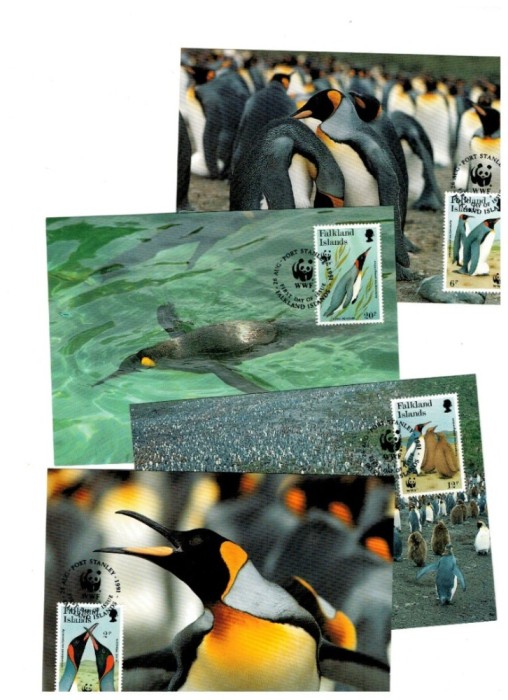 Insulele Falkland 1991 - Fauna WWF, set 4 carti poștale maxime
