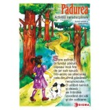 Cumpara ieftin Padurea. Activitati transdisciplinare/***