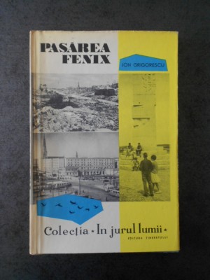 ION GRIGORESCU - PASAREA FENIX foto