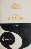 Cumpara ieftin Clio si Caliope sau Despre limitele istoriei si literaturii - Csehi Gyula (cateva insemnari)