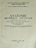 Carte Medicina: Anatomie Membrul Inferior - Iancu Ion (1967) - Editura UMF Iasi - Brosata, Limba Romana