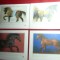 Set 6 Ilustrate - Cai - Piese de autor - tip file calendar