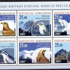 KIRGHIZSTAN, KÂRGÂZSTAN, Kyrgyzstan 2007 Fauna, Pasari, serie neuzata, MNH