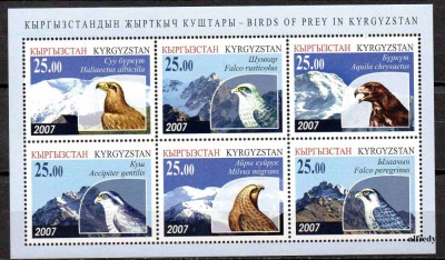 KIRGHIZSTAN, K&amp;Acirc;RG&amp;Acirc;ZSTAN, Kyrgyzstan 2007 Fauna, Pasari, serie neuzata, MNH foto