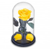 Trandafir Criogenat galben &Oslash;6,5cm in cupola sticla 10x20cm