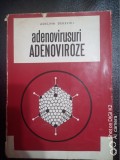 Adenovirusuri adenoviroze-Dr.Doc.Adelina Derevici