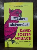 Matura sistemului - David Foster Wallace