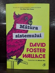 Matura sistemului - David Foster Wallace foto