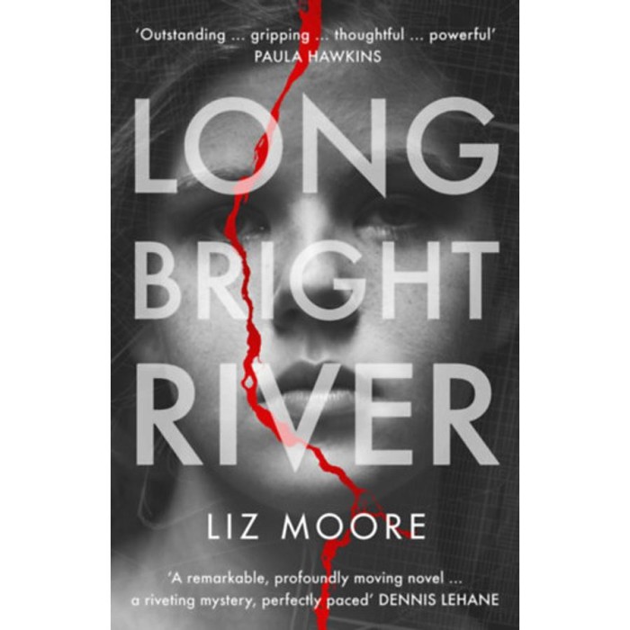 Long Bright River - Liz Moore
