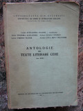 Alexandra Toader - Antologie de texte literare cehe (sec. XIX)