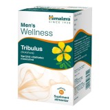 Tribulus Men&#039;s Wellness 60 tablete Himalaya