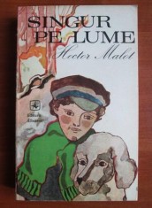 Hector Malot - Singur pe lume foto