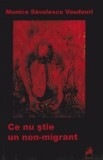 Cumpara ieftin Ce nu stie un non-emigrant/Monica Savulescu Voudouri
