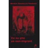 Ce nu stie un non-emigrant/Monica Savulescu Voudouri