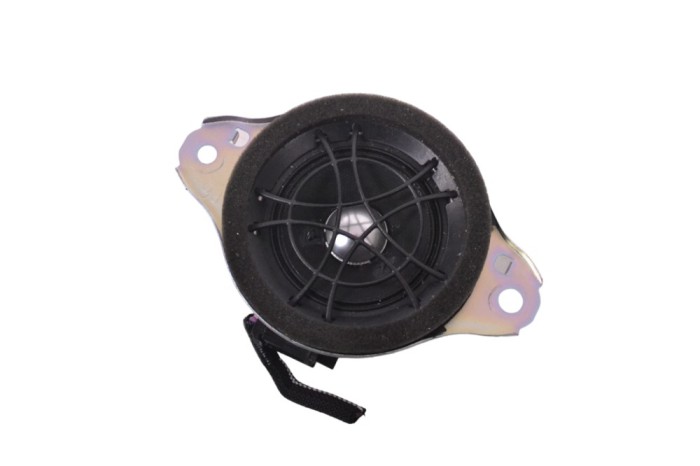 Difuzor ușă dreapta față LEXUS NX _Z1_ 2021 OEM: 86160-78020 17703670