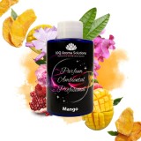 Mango 100 gr
