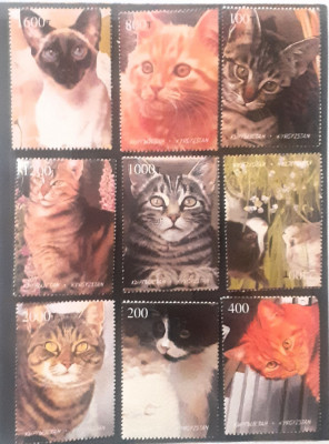 KYRGYZSTAN PISICI, FELINE, SERIE 9V. MNH foto