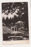 RF204 - Carte Postala - Borsec, circulata 1961