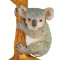 Koala - Collecta