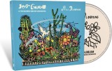 Still Blooming | Jeff Goldblum, The Mildred Snitzer Orchestra