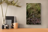 Tablou Canvas, "Fluture albastru &icirc;n sălbăticie verde", Fluture, Ferigă, Verdeață, Natură, Delicatețe, Fragilitate, Contrast, Vegetație, Frumusețe, Săl