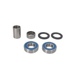 Cumpara ieftin Kit Rulmenti Roata spate Yamaha FZ1 1000 2006 2015 All Balls 25-1769