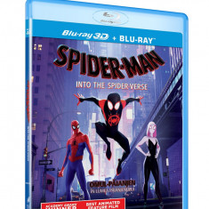 Omul-Paianjen: In lumea paianjenului Blu-Ray Disc) 2D+3D / Spider-Man: Into the Spider-Verse | Bob Persichetti, Peter Ramsey, Rodney Rothman