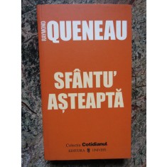 RAYMOND QUENEAU - SFANTU ASTEAPTA
