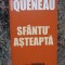 RAYMOND QUENEAU - SFANTU ASTEAPTA