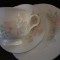 SET / SERVICIU MIC DEJUN DIN PORTELAN SADLER BONE CHINA ,,ROMANCE,,
