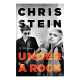 Under a Rock Chris Stein Debbie Harry Blondie memoir