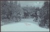 4564 - TARGU NEAMT, Park, Litho, Romania - old postcard - unused, Necirculata, Printata