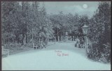 4564 - TARGU NEAMT, Park, Litho, Romania - old postcard - unused, Necirculata, Printata
