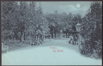4564 - TARGU NEAMT, Park, Litho, Romania - old postcard - unused foto