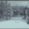 4564 - TARGU NEAMT, Park, Litho, Romania - old postcard - unused