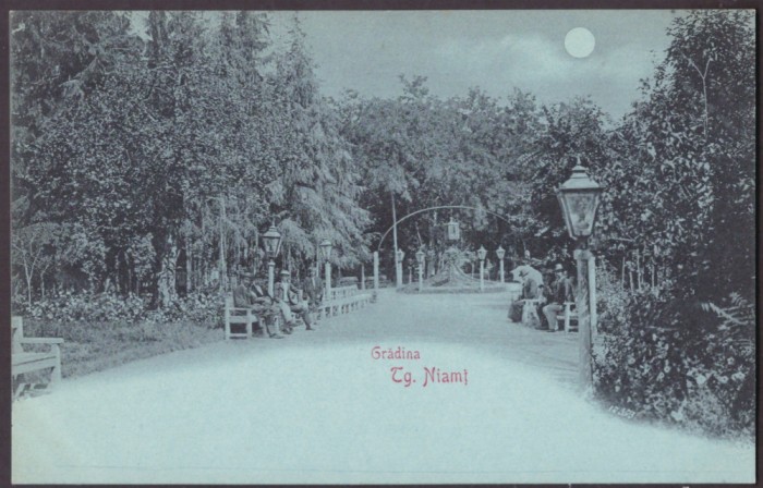 4564 - TARGU NEAMT, Park, Litho, Romania - old postcard - unused