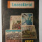 LOT 3 ALMANAH LUCEAFARUL 82, CUTEZATORII 89, SCANTEIA 87