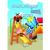 Carte de colorat cu abtibilduri - Insecte