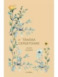 Tanara cersetoare/Alice Munro
