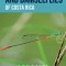 Dragonflies and Damselflies of Costa Rica: A Field Guide