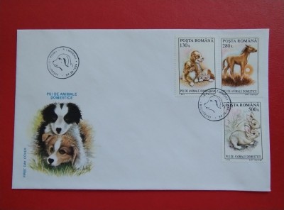1994 - PUI DE ANIMALE DOMESTICE foto