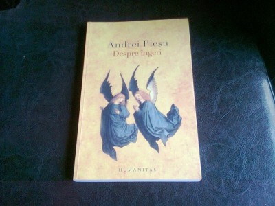 DESPRE INGERI - ANDREI PLESU foto